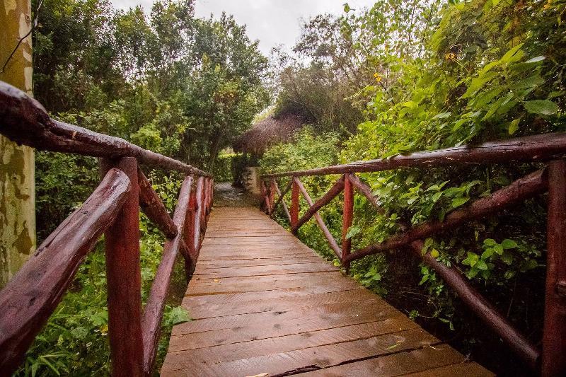 Dove Nest Lodge Naivasha Eksteriør billede